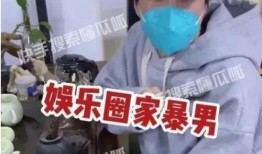 娱乐圈家暴男爆料小说,揭开明星背后的黑暗面